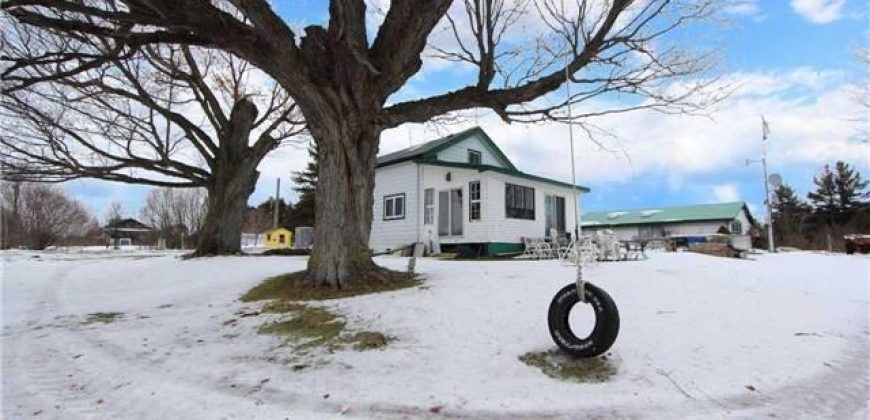 6417 Holt Road, Clarington, Ontario, L0B 1J0