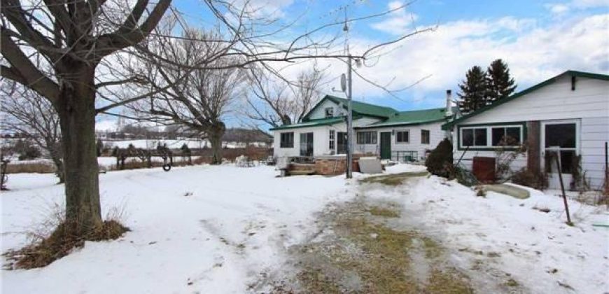 6417 Holt Road, Clarington, Ontario, L0B 1J0