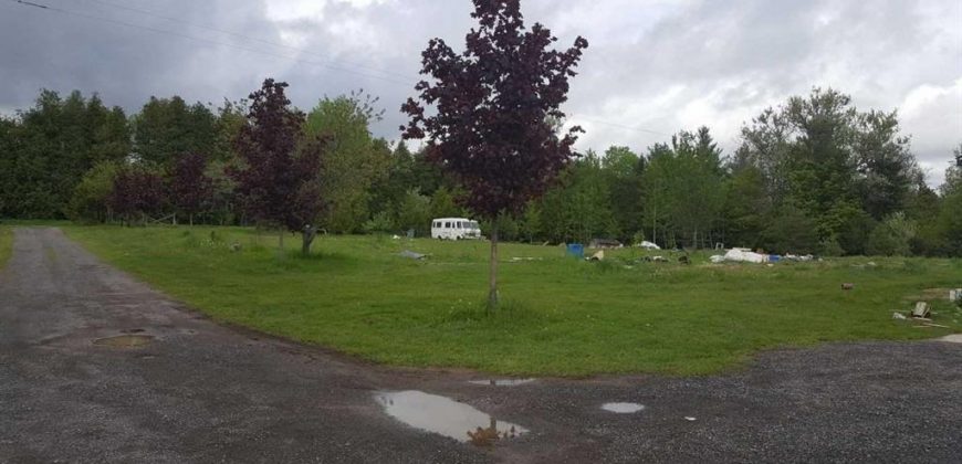 6417 Holt Road, Clarington, Ontario, L0B 1J0